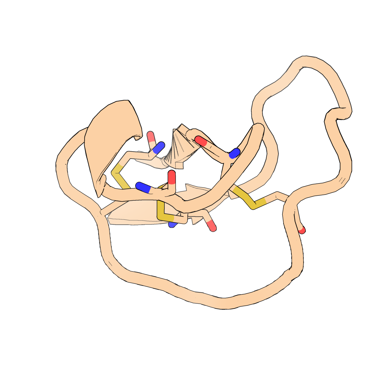 Protein structure