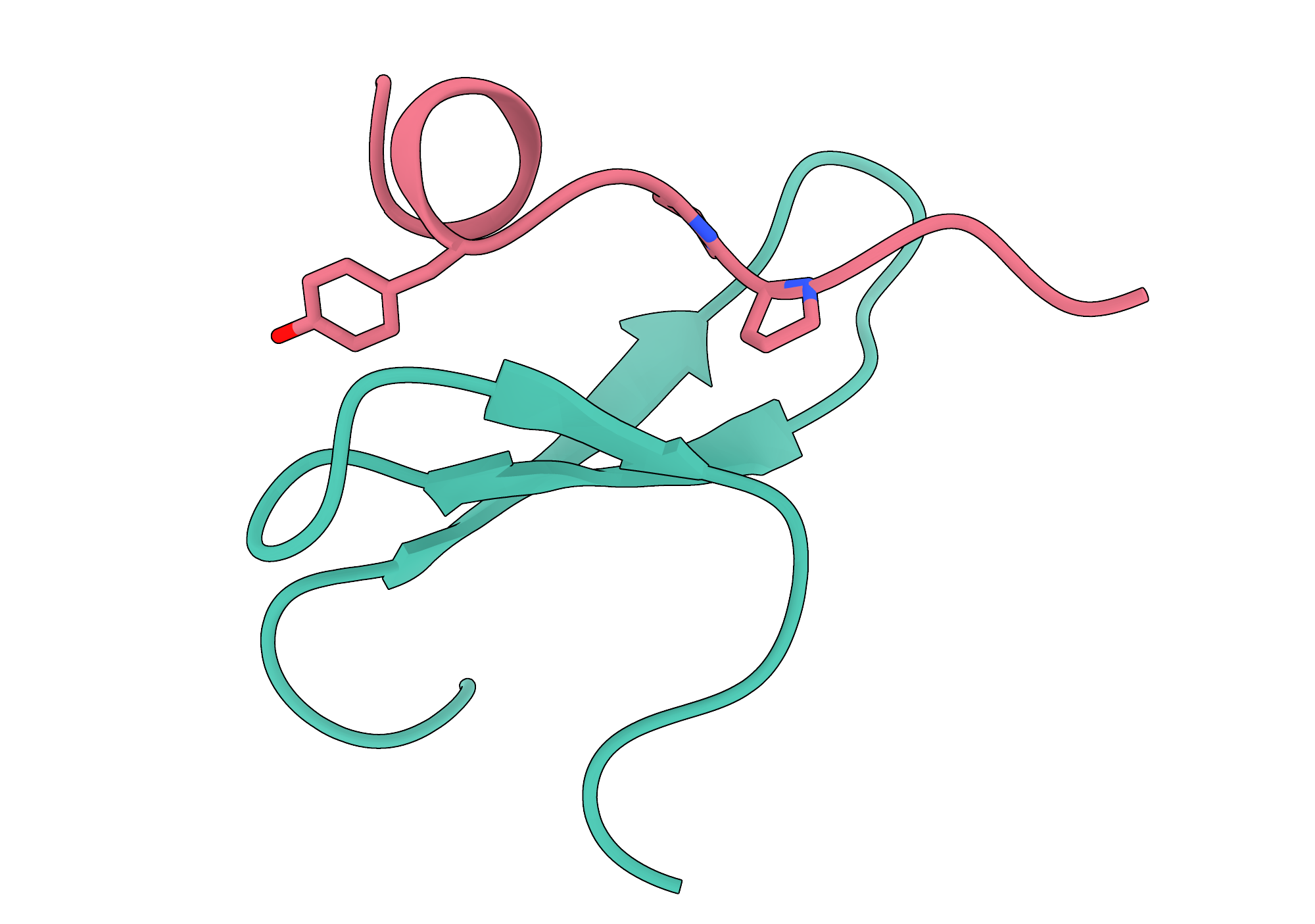 Protein structure