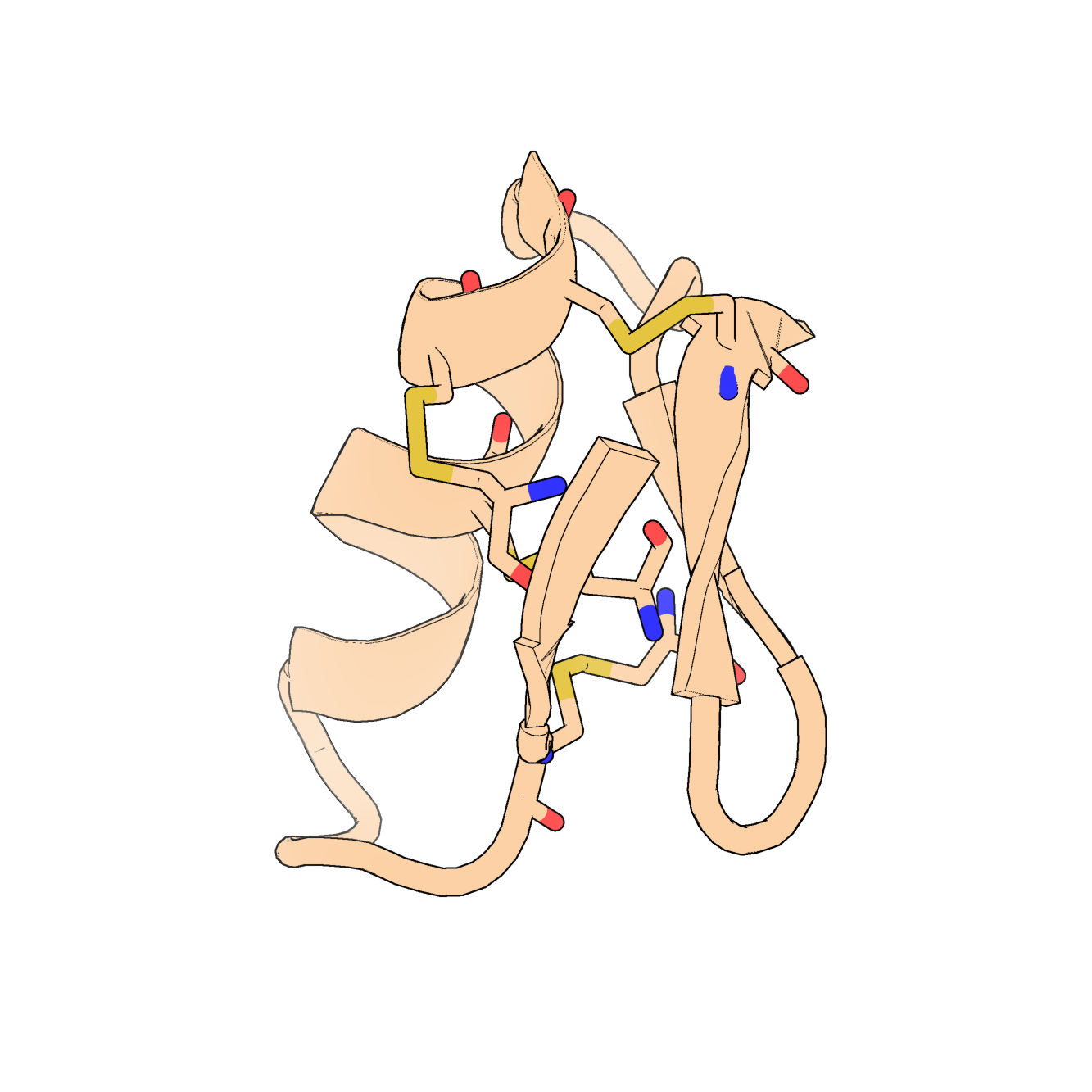 Protein structure