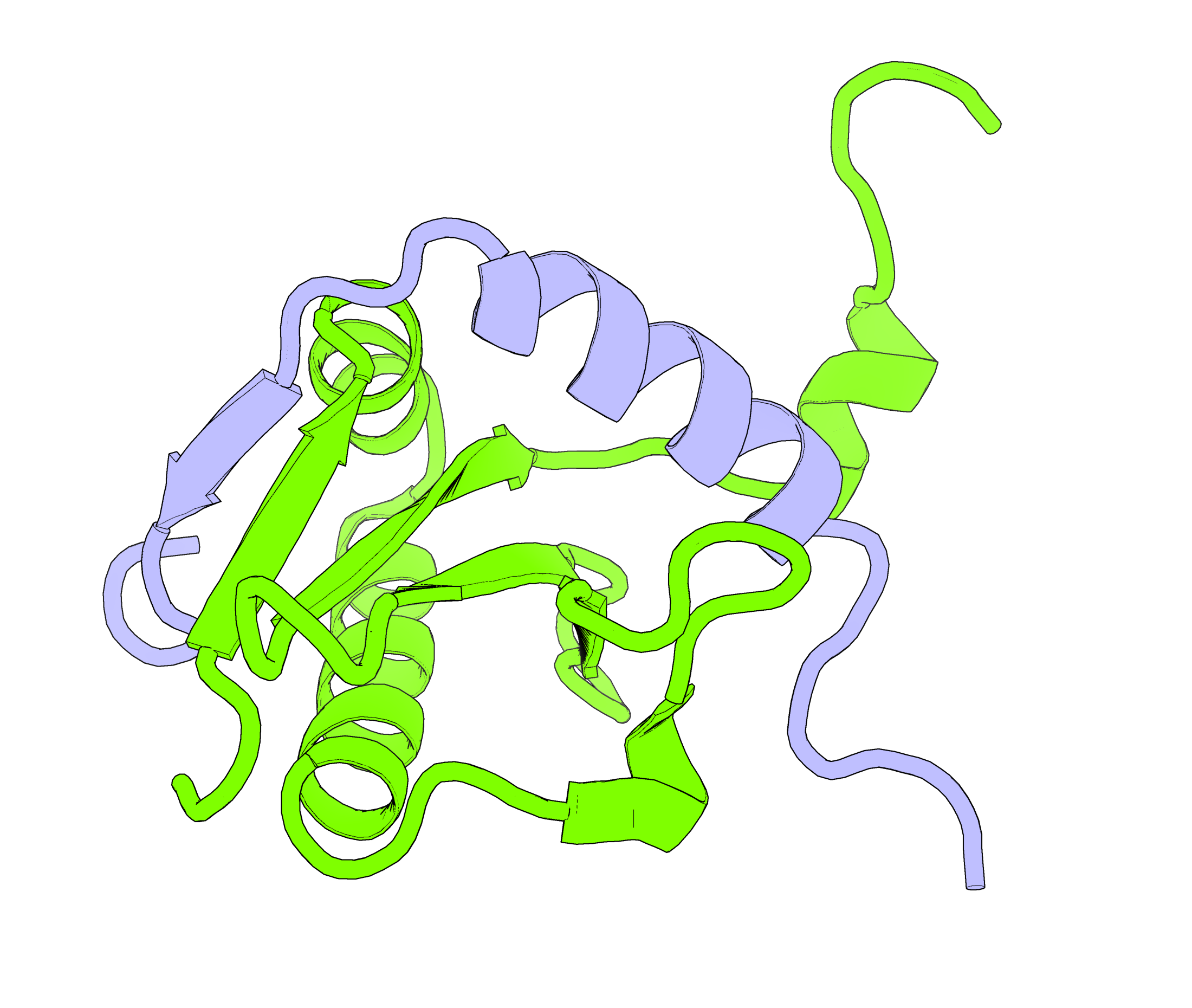 Protein structure