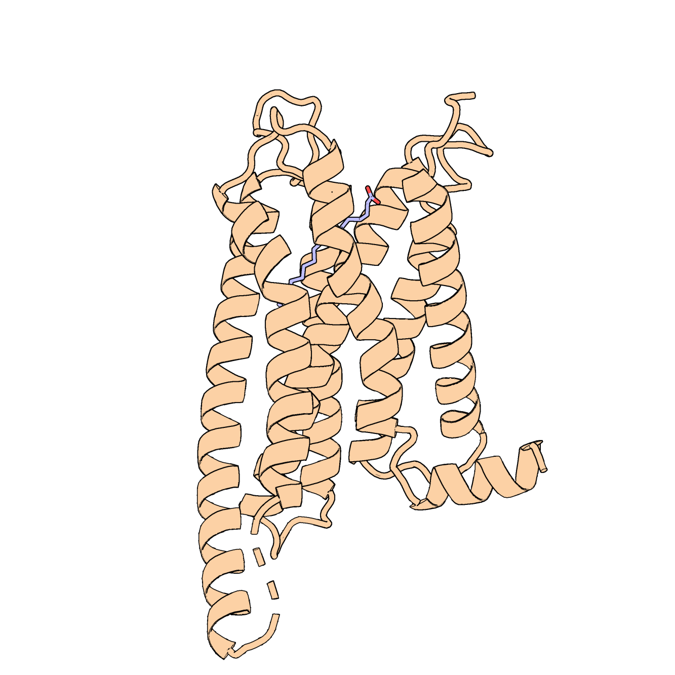 Protein structure